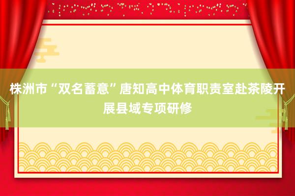 株洲市“双名蓄意”唐知高中体育职责室赴茶陵开展县域专项研修