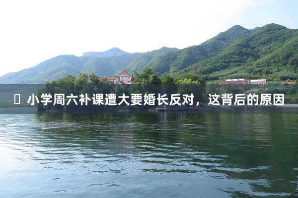 ​小学周六补课遭大要婚长反对，这背后的原因