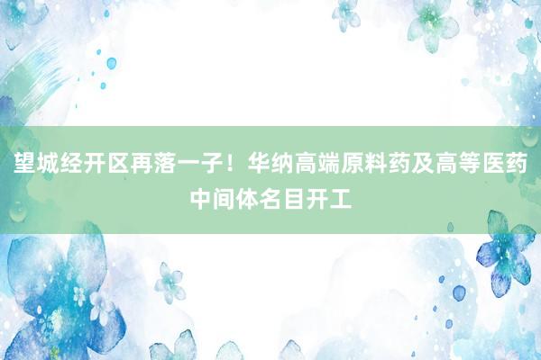 望城经开区再落一子！华纳高端原料药及高等医药中间体名目开工