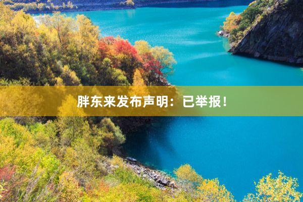 胖东来发布声明：已举报！