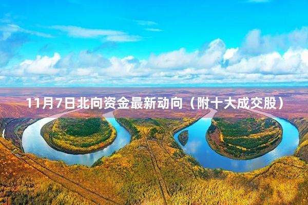 11月7日北向资金最新动向（附十大成交股）