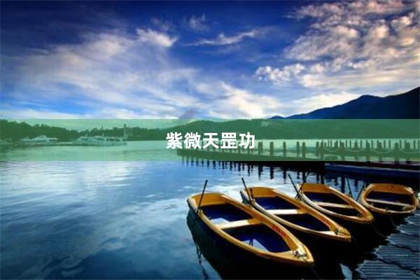 紫微天罡功