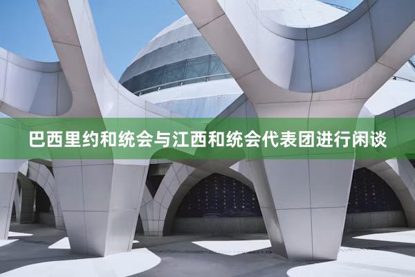 巴西里约和统会与江西和统会代表团进行闲谈