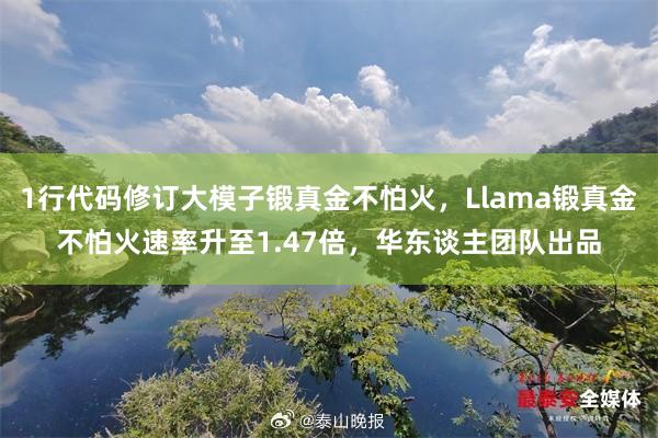 1行代码修订大模子锻真金不怕火，Llama锻真金不怕火速率升至1.47倍，华东谈主团队出品