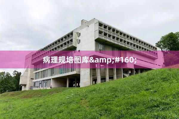 病理规培图库&#160;