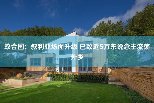 蚁合国：叙利亚场面升级 已致近5万东说念主流荡外乡