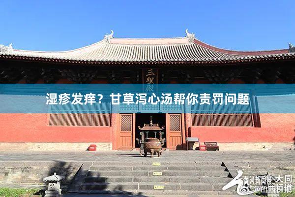 湿疹发痒？甘草泻心汤帮你责罚问题